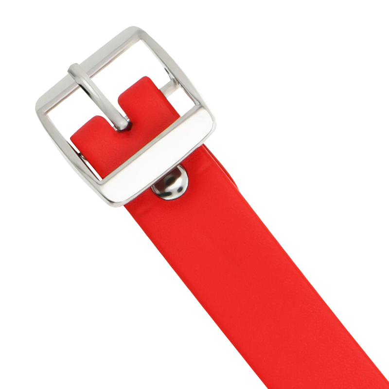 COQUETTE CHIC DESIRE - RED VEGAN LEATHER COLLAR WOMEN'S FETISH ACCESSORY
