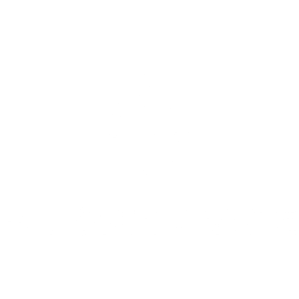 myspicyvibe